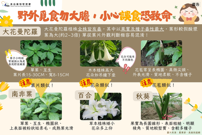 圖檔圖片