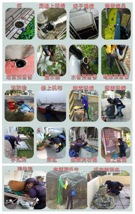 校園常見2圖片
