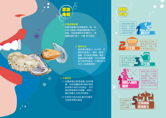 諾羅病毒預防2圖片