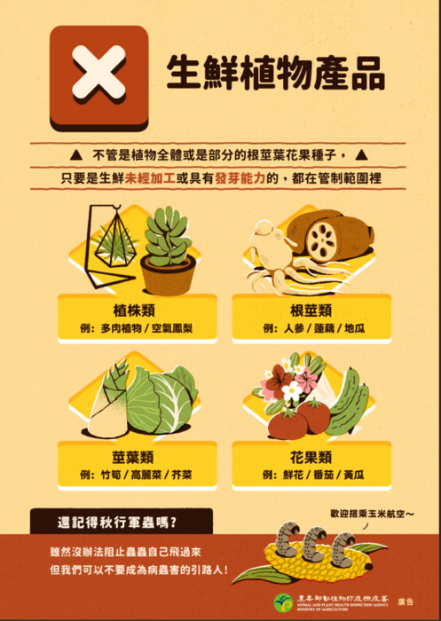04圖片