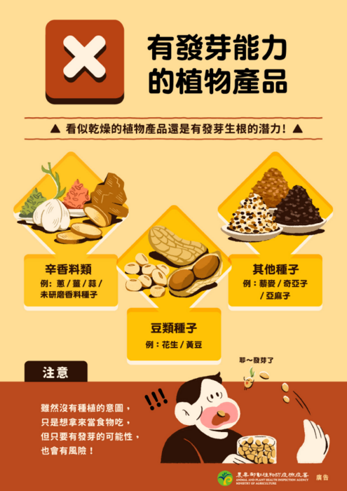 05圖片