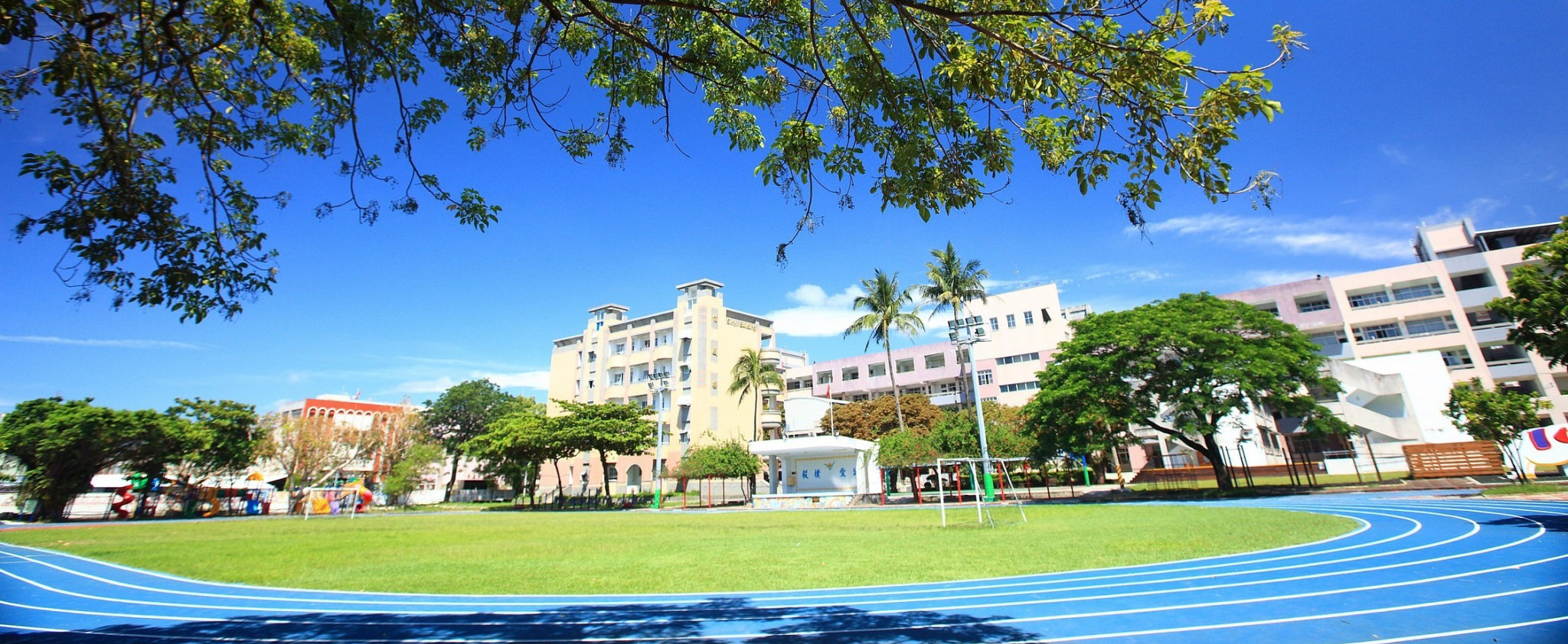 school